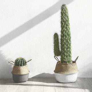 Handwoven seagrass storage baskets with painted bottom used as planters.