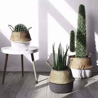 Handwoven seagrass storage baskets with painted bottom used as planters.