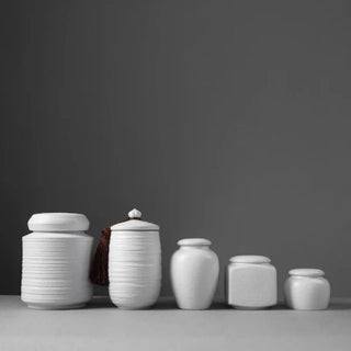 Elegant white ceramic storage jars in various shapes and sizes, featuring a soft textured finish and airtight lids. Perfect for storing tea, coffee, sugar, and spices while adding a modern, sophisticated touch to any kitchen countertop.