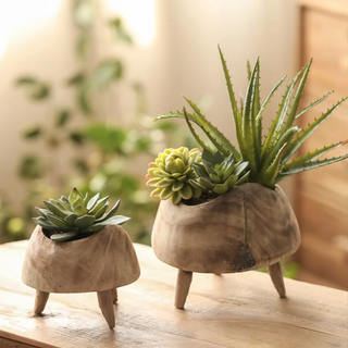 Handcrafted small high-foot display pieces made from Paulownia wood, showcasing a rustic design that highlights the natural beauty of wood and organic aesthetics. These decorative and practical accessories add texture and character to any setting, perfect for displaying fruit, plants, trinkets, potpourri, or holiday ornaments. Ideal for natural home décor.